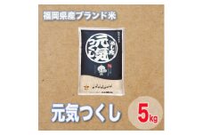 福岡県産ブランド米元気つくし5kg_米 こめ お米 コメ おこめ 元気つくし ブランド米 5kg×1袋 精米 白米 ごはん ご飯 おにぎり お弁当 国産 産直 産地直送 贈答 ギフト プレゼント 福岡県 大野城市 送料無料【1411443】