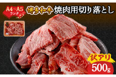 訳あり!＜A4～A5＞博多和牛焼肉切り落とし(肩ロース・バラ)　500g_ 赤身 肩ロース バラ 国産牛 お肉 牛肉 焼肉 訳アリ 冷凍 送料無料 黒毛和牛 国産 九州産 福岡県産 牛肉 産直 産地直送 不揃い 規格外 A4 A5 【1417835】
