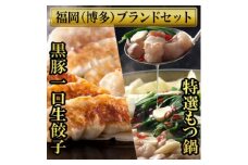 博多黒豚一口生餃子(3パック分け75個)ともつ鍋(2.5人前) 少人数様向け福岡ブランドセット【1439460】