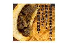 博多黄金カレー＜焼きカレーパン＞8個入り【1440025】