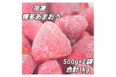 福岡県産＜博多冷凍あまおう＞約500g×2袋 合計約1kg【1443753】