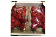 九州・福岡完熟あまおうデラックス2パックセット【1033562】