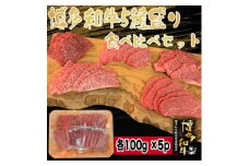 博多和牛焼肉5種食べ比べセット《合計500g》【1413625】