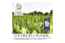 ＜毎月定期便＞奥八女星野村 深蒸し高級煎茶(深蒸し茶)100g×1袋 全6回【4008833】