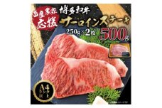 ＜A4～A5＞博多和牛サーロインステーキ＜厳選部位＞(250g×2枚)_ ステーキ サーロイン 肉 牛肉 国産牛 和牛 黒毛和牛 博多和牛 A4 A5 国産 産地直送 贈答 ギフト プレゼント プレミアム 冷凍 500g 【1168509】