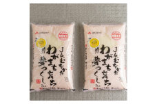 ＜毎月定期便＞福岡県産米『夢つくし』10kg(5kg×2袋)(大野城市)全3回【4058579】