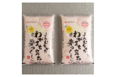 ＜毎月定期便＞福岡県産米『夢つくし』10kg(5kg×2袋)(大野城市)全6回【4058580】