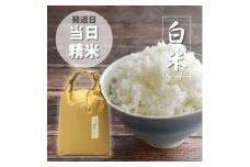 福岡県産「元気つくし」5kg×1袋 [5kg] [白米]【1550487】
