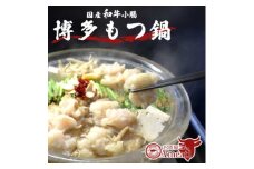 えーみーとわん 国産牛もつ鍋セット(2～3人前)しょうゆ味【1548916】