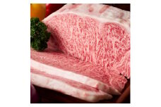 ＜博多和牛＞サーロインブロック　4kg(2kg×2p)【1356890】