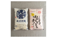 ＜毎月定期便＞福岡県産米『夢つくし』&『元気つくし』各5kg(大野城市)全3回【4062111】