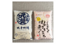 ＜毎月定期便＞福岡県産米『夢つくし』&『元気つくし』各5kg(大野城市)全6回【4062112】