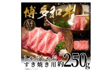 ＜A4～A5＞博多和牛しゃぶしゃぶすき焼き用(肩ロース肉・肩バラ肉・モモ肉)250g【1606187】