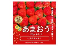 ＜先行予約＞福岡県産あまおう 約270g×4パック【1177858】
