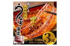 ふっくら大判特上うなぎ蒲焼　計約900～1000g(約320g×3尾)【1646345】