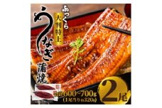 大野城市限定!ふっくら大判特上うなぎ蒲焼　計約600～700g(約320g×2尾)【1646340】