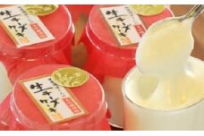 酒粕生チーズケーキ10個詰合せ【 椋の木ムック】_HA0117