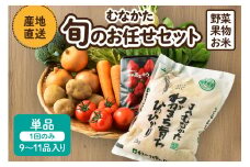 【レビューCP対象】【9～11品】むなかた旬のお任せセット(野菜・フルーツ・お米)【JAほたるの里】_HA0263