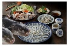 漁師お勧め！天然とらふくてっさ・てっちり（お刺身セット）（3～4人前）【宗像漁協】_HA0468