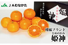 急速冷凍！冷凍みかん JAむなかた柑橘ブランド｢姫神｣2kg 甘くておいしいみかん【JAほたるの里】_HA0269