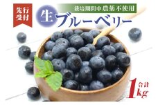 【レビューCP対象】栽培期間中農薬・有機肥料で丹精込めて栽培した「ブルーベリー」1kg 国産【JAほたるの里】_HA0273