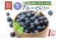 栽培期間中農薬・有機肥料で丹精込めて栽培した「ブルーベリー」1kg