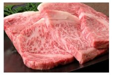 博多和牛ロースステーキ 100g×5枚【伊豆丸商店】_HA0223
