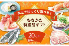 あとでゆっくり選べる！むなかた特産品20万円コース_HY0020