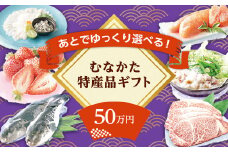 あとでゆっくり選べる！むなかた特産品50万円コース_HY0050