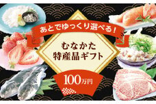 あとでゆっくり選べる！むなかた特産品100万円コース_HY0100