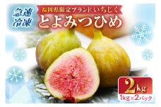 急速冷凍！福岡県特産品プレミアムいちじく「とよみつひめ」 冷凍いちじく 大容量2kg【JAほたるの里】_HA0279