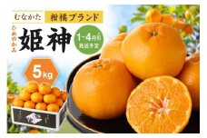 【レビューCP対象】旬のミカンをお届け！JAむなかた柑橘ブランド「姫神」5kg 甘くておいしいみかん【2026年1月～4月上旬発送】【ほたるの里】_HA0280