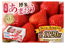 【レビューCP対象】【アフター保証】大粒セレクト！大人気のあまおう 280g×4パック【2026年2月上旬～3月中旬お届け】【JAほたるの里】 _HA0275