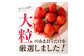 大粒セレクト！大人気のあまおう 約280g×4パック【2024年2月上旬～3月中旬お届け】福岡県産ブランドいちご _KA0275