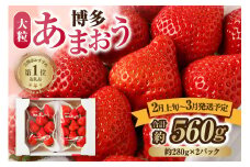 【レビューCP対象】【アフター保証】 大粒セレクト！大人気のあまおう 約280g×2パック【2026年2月中旬～3月お届け】【JAほたるの里】_HA0277