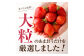 大粒セレクト！大人気のあまおう 約280g×2パック【2023年2月中旬～3月お届け】福岡県産ブランドいちご_KA0277