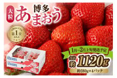 【レビューCP対象】【アフター保証】大粒セレクト！大人気のあまおう 280g×4パック【2026年1月～2月上旬お届け】【JAほたるの里】 _HA0274