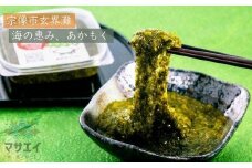 【定期便／年12回／毎月お届け】宗像のアカモク「あかもっくん」1040g(80g×13個)【マサエイ水産加工】_HB0049