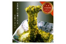 【翌営業日までに発送】宗像のアカモク「あかもっくん」800g(80g×10個)【マサエイ水産加工】_HA0438