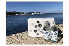 すっぴん塩サイダー【むなかた大島】_HA0475