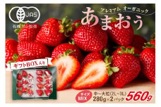 プレミアムオーガニックあまおう　スペシャルギフト【伊世いちご畑】_HA0480