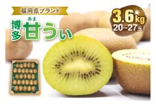 【2024年収穫分】福岡県ブランド！キウイフルーツ「博多甘うぃ」1箱約3.6kg【ほたるの里】_HA0434