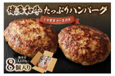黒毛和牛 (博多和牛) たっぷりハンバーグ140g×8個入り ジャポネソース付き【伊豆丸商店】_HA0491