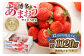 どこよりも早くお届け！12月発送「博多あまおう」約280g×4パック_KA0502