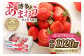 4月発送！「博多あまおう」約280g×4パック_KA0526