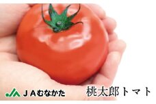 桃太郎トマト4kg（18玉～24玉）【ほたるの里】_HA0572