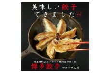 【翌営業日までに発送】博多餃子アカモク入り 80個【マサエイ水産加工】_HA0581