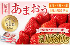 【レビューCP対象】【定期便／3ヶ月連続お届け】博多あまおう 約280g×2パック 計3回 総量1.68kg 3カ月定期便【ほたるの里】_HB0075