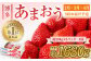 【定期便／3ヶ月連続お届け】博多あまおう 約280g×2パック 計3回 総量1.68kg 3カ月定期便_KB0075