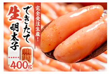 【完全受注生産！】できたて「生」明太子400g【海千】_HA0668